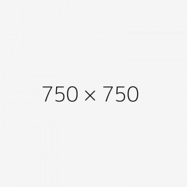 finibus faucibus augue eu